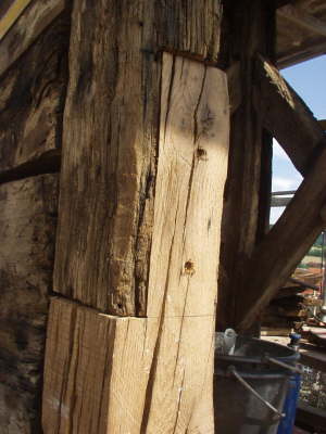 Photo1